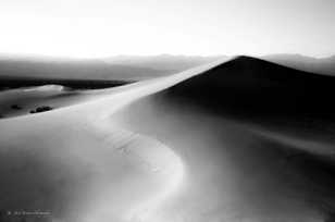 Mesquite Dunes-9826